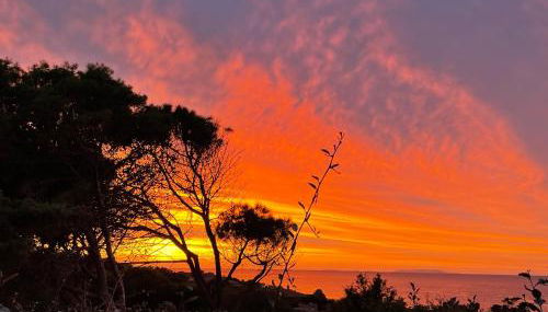 Villetta dei Ginepri Costa Paradiso - Foto 3