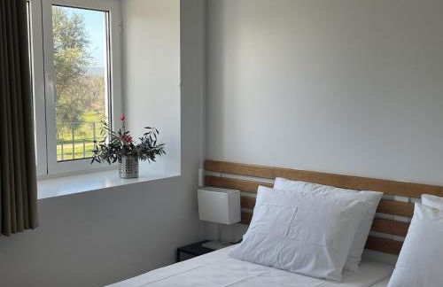 Quinta da Mouracha - Foto 26