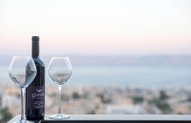 Dov Garden apartment with private pool - Foto 55