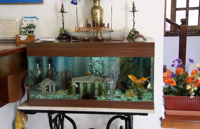 Hotel Mary - Foto 31