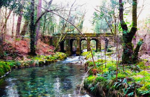 Cabañas Rias Baixas - Foto 16