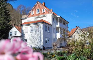 Haus Am Beckerberg im Harz - Foto 23