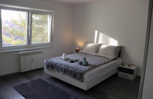 Apartman Callosum - Foto 12