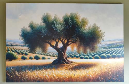 The Olive House - Foto 6