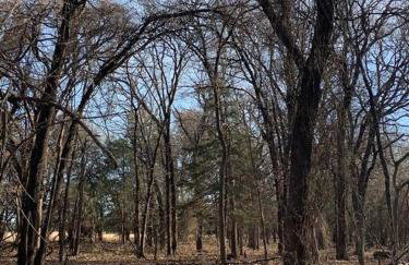 Texoma Getaway - Tiny House on a Pharm - Foto 10