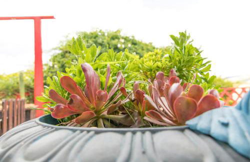 Casa Poniente - Casa Rural Los Cuatro Vientos - Foto 22