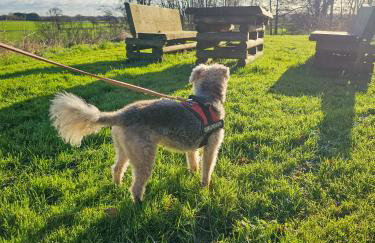 Hay's Wood Retreat - Holiday Lodges - Foto 32