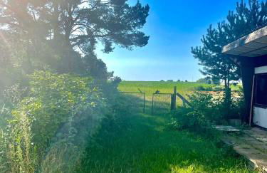 Moderne Doppelhaushälfte mit 3 SZ in der Nähe vom Scharmützelsee-seperat&naturnah - Photo 39