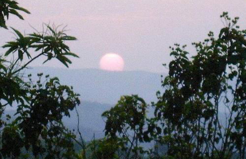 Viviendas Rurales del Robledo - Foto 16