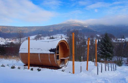 Hotel i Apartamenty pod Śnieżnikiem - Foto 9