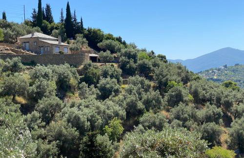 Laas Daskios, Stone Country House, Skopelos Anania - Foto 13