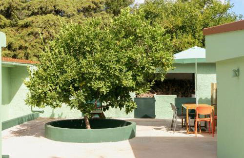 NEW! Quinta de Zanão House - Foto 60