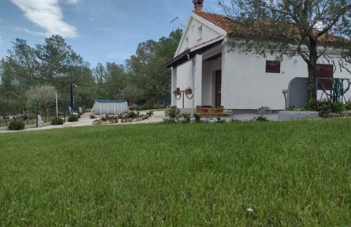 Spignoviza - Foto 65