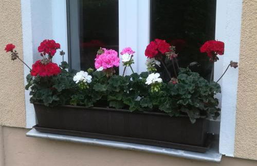 Ferienwohnung Rauscher - Foto 14