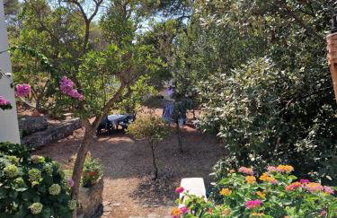 Apartments Hortenzija - Photo 31