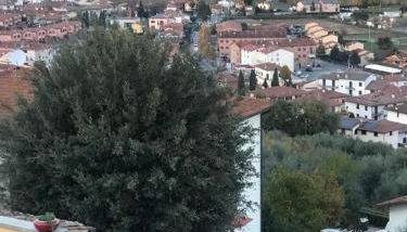 Tre Girasoli - Foto 5