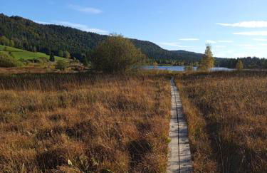 Le Chablis étoilé - Foto 34