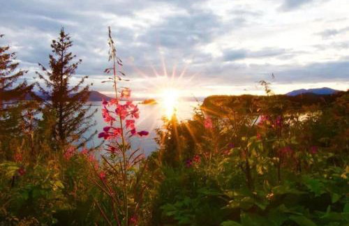 Breathtaking Ocean, Mountain & Juneau Views - Foto 42