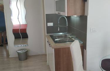 Apartman Viola Mareda - Photo 14