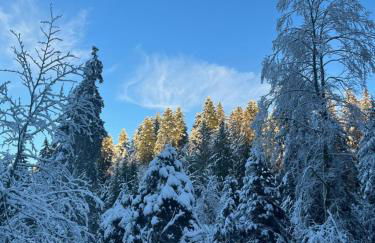 Entre Montagnes et lacs Gites - Foto 14