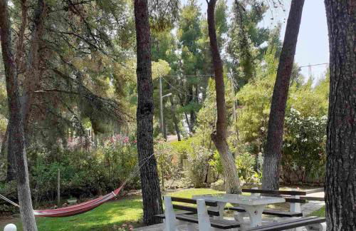 Sani villa of traditional architecture - Foto 40