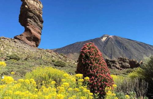 Holiday Home Los Silos near Playa La Caleta - Foto 28