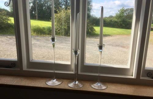 Wolfin Farm Accomodation - Foto 13