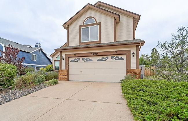 Shirley's Temple - Foto 46