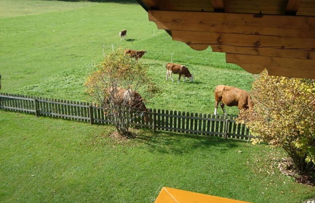 Room-holiday Home Kahr Apartment Roßbran - Photo 46