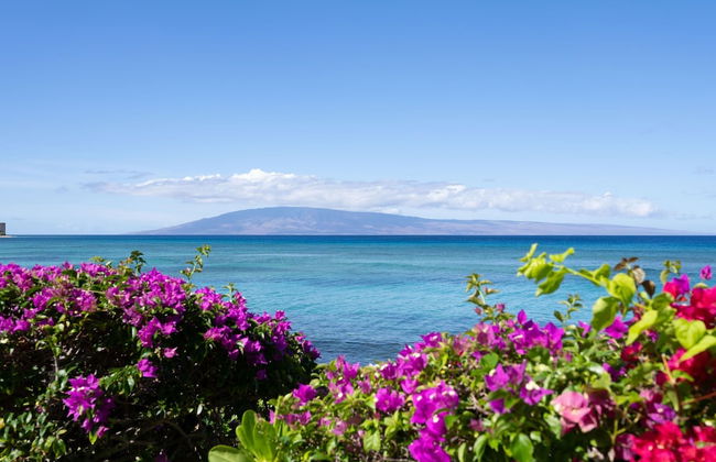 Kuleana 405 Oceanfront 1Bedroom 1 Condo by RedAwning - Foto 46