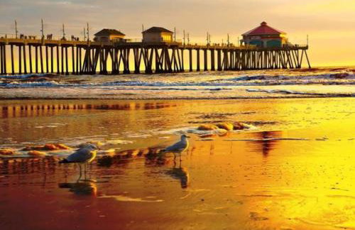 King Size, Patio, Xbox, Great Park - Photo 17