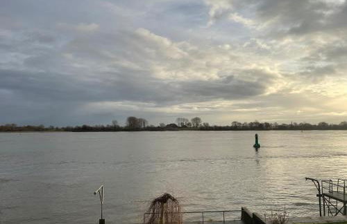 Sonnenschein - Foto 34