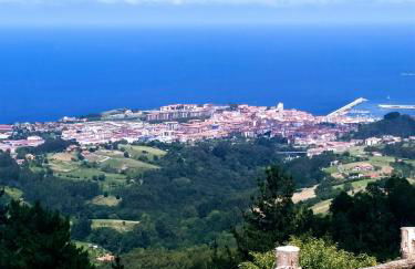 Bermeo y Urdaibai - PARKING-Ascensor - WIFi - tranquilo - Foto 29