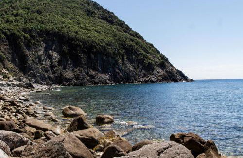 L' Elicriso - Foto 28