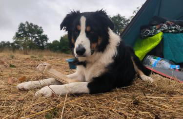 La Glane at Le Maingaud - Foto 36