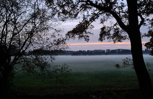 FeWo-Veronika-Apen - Foto 36