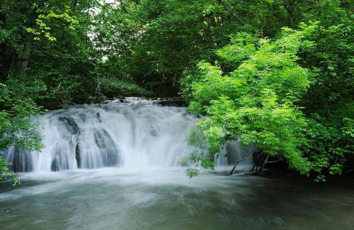 Ferienwohnung Christine - Foto 32