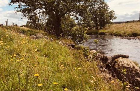 Elishaw Farm Holiday Cottages - Foto 11