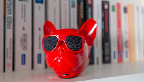 Grand studio bord du lac - Photo 4