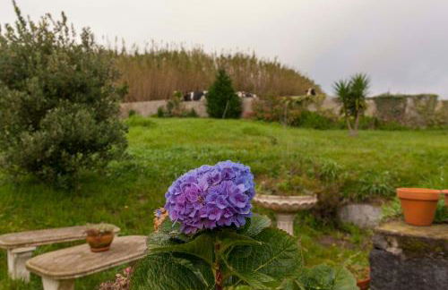 Candelária House - Photo 79