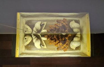 Olive oil mill - Foto 48