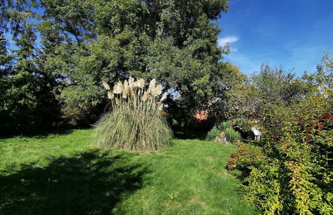 Le clos verdonnais - Foto 21