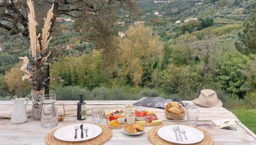 Agriturismo La Forestaria - Foto 2