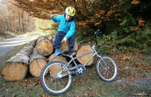 Ferienhaus am Ruhberg - Photo 40