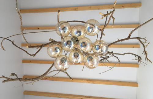 Horta dos Cedros - Foto 51