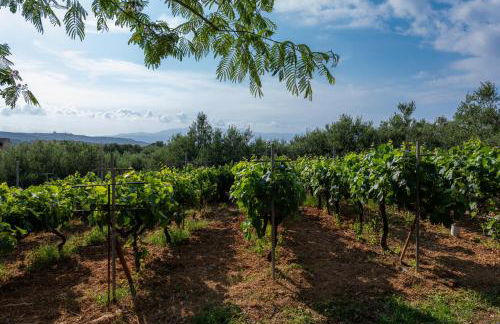 Giovanta Villa - Foto 30