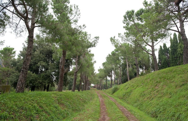 Exquisite Villa in Cesena With Sauna - Foto 28