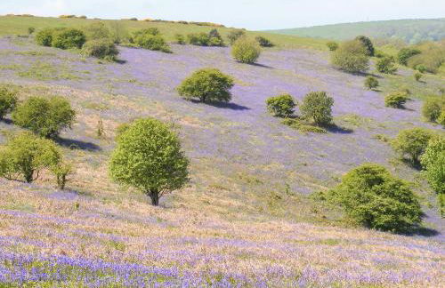 Beachcombers - Photo 35