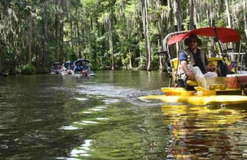The Little Barn you are looking for! - Photo 28