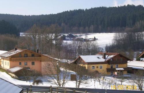 Fischer Willi - Foto 9